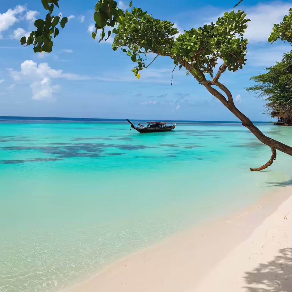 Complete Guide to the Best Organized Activities in Zanzibar: What You Need to Know